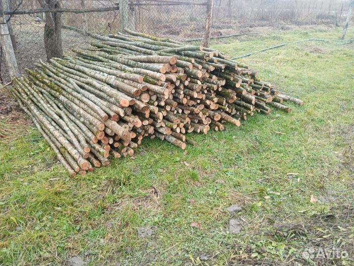 Колышки для подвязки