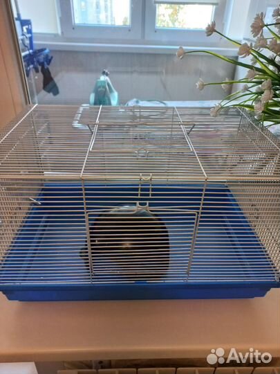 Клетка для грызунов продам