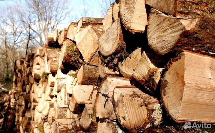Дрова без гнили