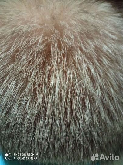 Шапка женская Авито доставка