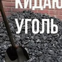 Закидаем уголь, Могилёв