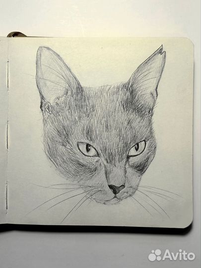 Рисунки на заказ по фото