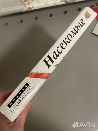 Энциклопедия для детей