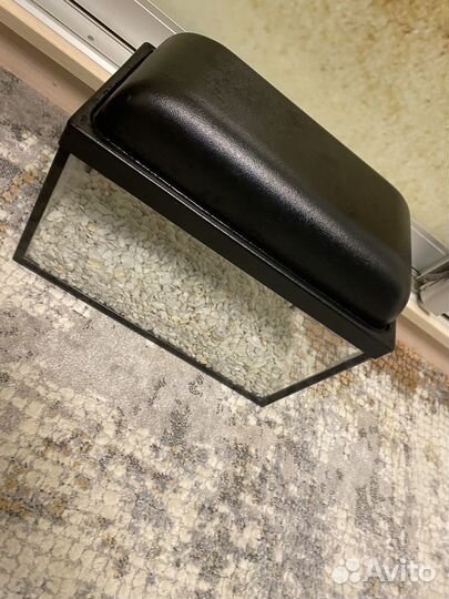 Аквариумные рыбки