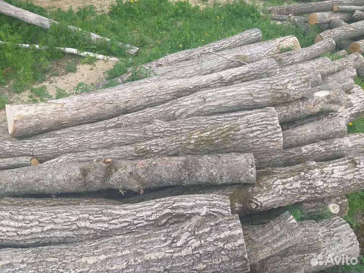 Столбы дубовые