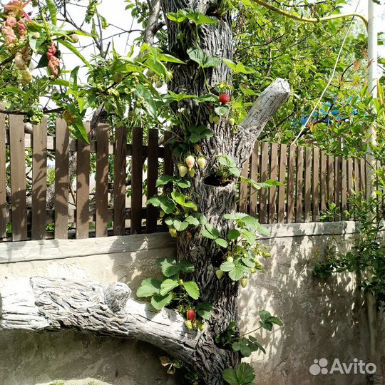 Кашпо для растений