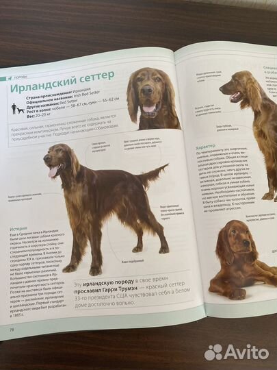 Книга собаки. Подарочная энциклопедия