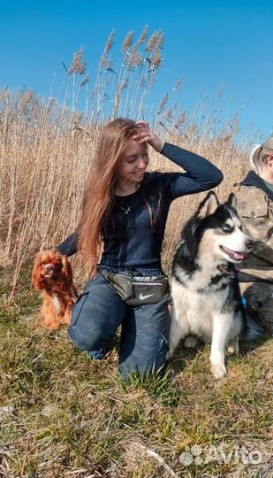 Кинолог с выездом