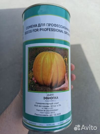 Семена Дыня Эфиопка