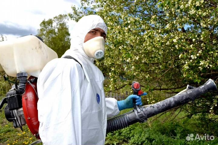 Уничтожение клопов тараканов лечение растений