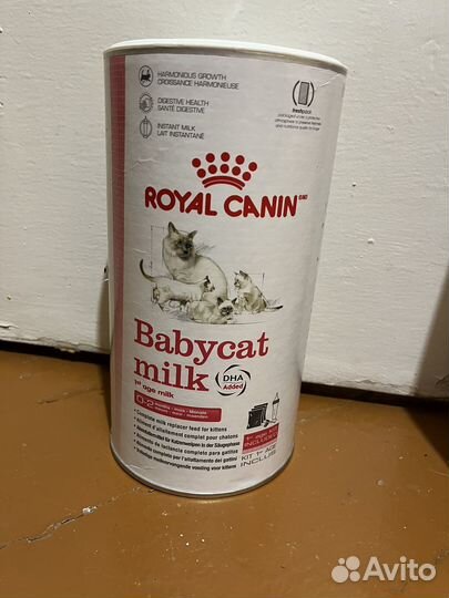 Сухое молоко для котят