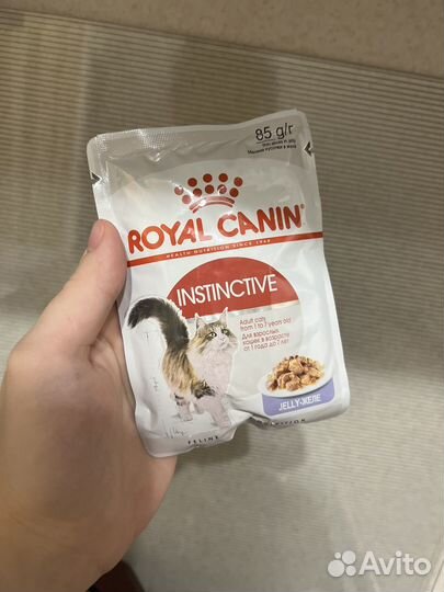 Корм для кошек royal canin