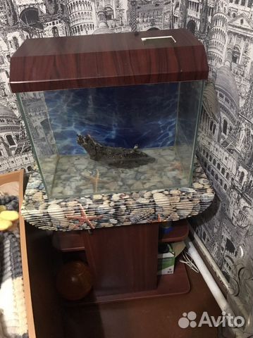 Аквариум с тумбой