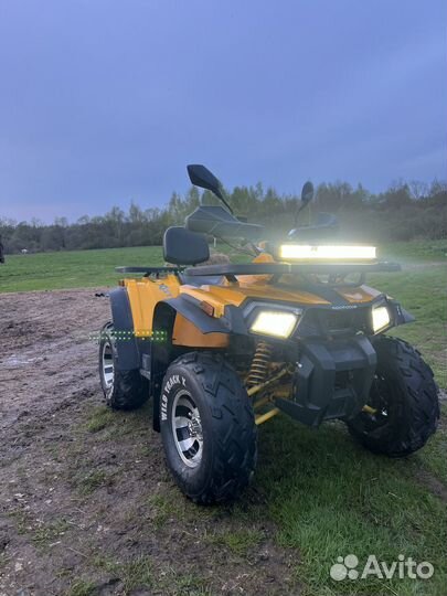 Продается квадроцикл Motoland wild track X 200