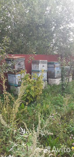 Улий для пчел