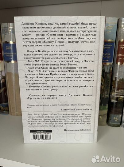 Книга «Три факта об Элси»
