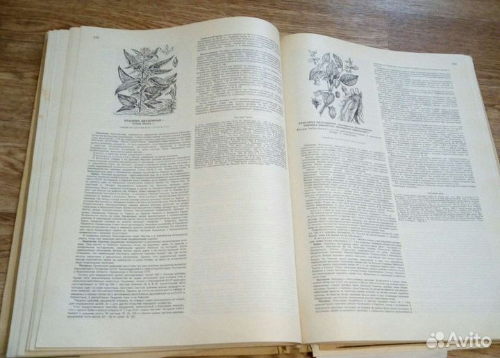 Атлас ареалов и ресурсов лекарственных растений