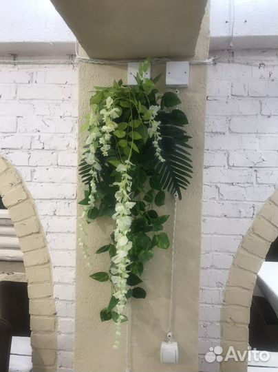 Стабилизированный мох