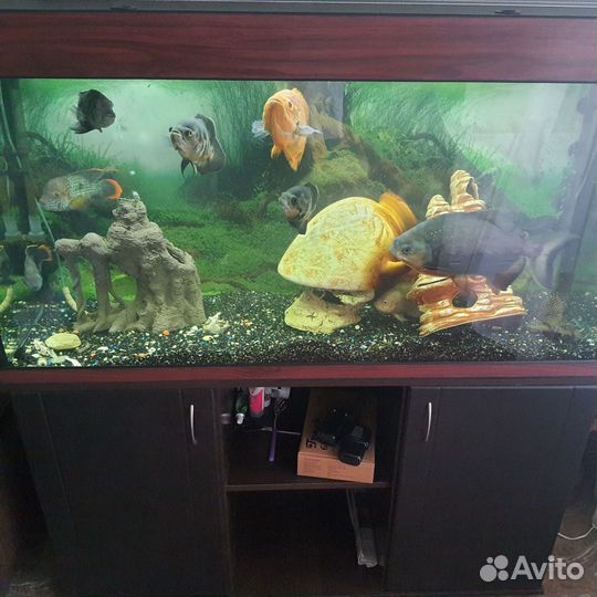 Продам аквариум с тумбой (возможно отдельно)