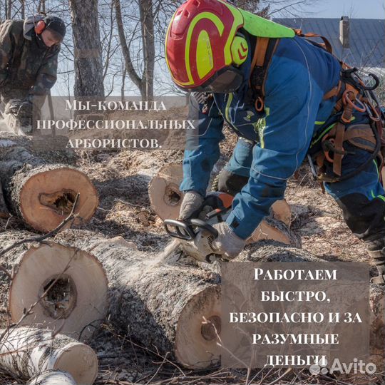 Спилить, удалить или обрезать деревья в Конаково