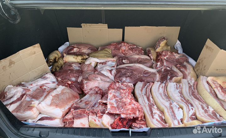 Мясо свинина домашняя