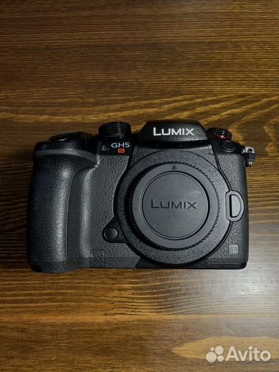 Panasonic lumix gh5s