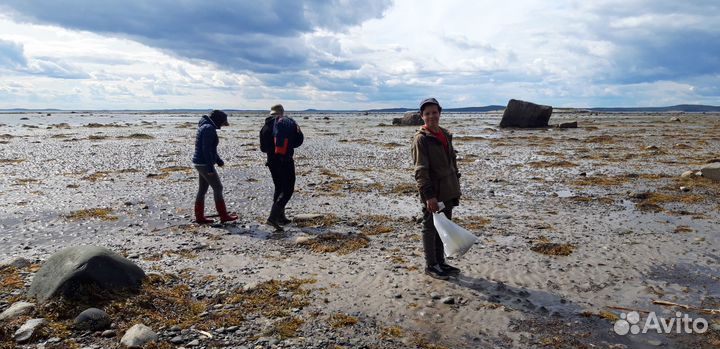 Карелия отдых, Тур на 7 дней на берегу Белого моря