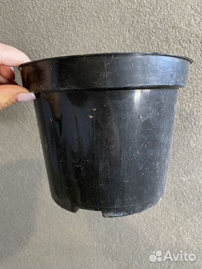 Горшки с3 для растений