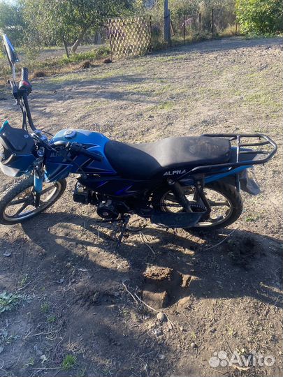 Alpha rs 12
