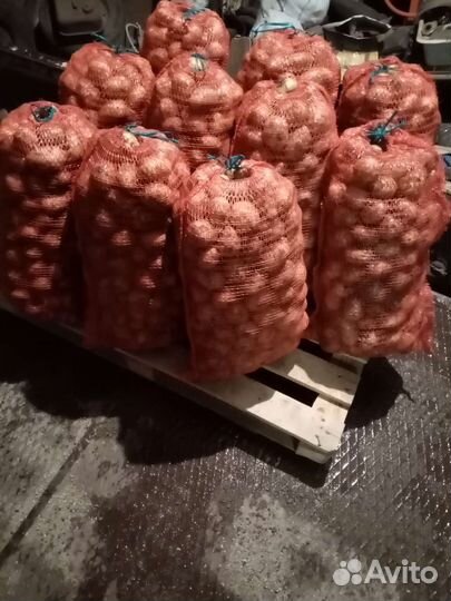 Картофель
