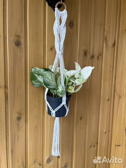 Кашпо подвесное для цветов макраме