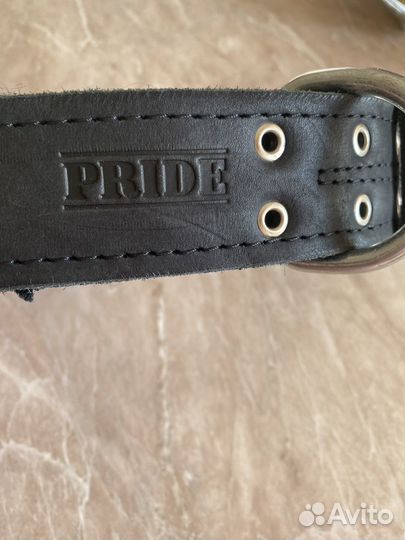 Ошейник для собак