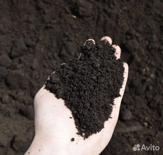 Чернозем с доставкой