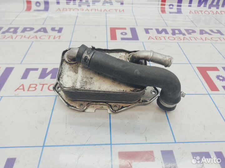 Радиатор масляный Audi A6 (С6) 06E117021G