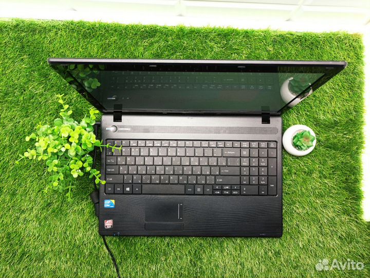 Ноутбук Packard Bell Pew91 с Гарантией