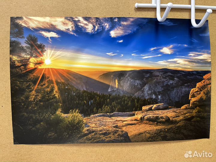 Плоттер epson stylus pro 11880