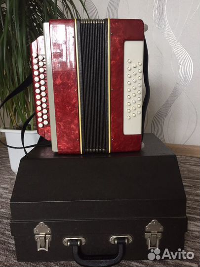 Гармонь Нарач-2