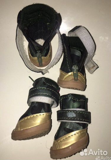 Одежда для собак мелких пород