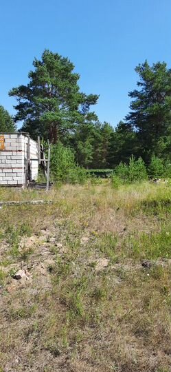 Участок 10 сот. (ИЖС)