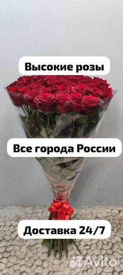 Гиганские розы Тамбов