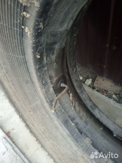 Шины 12.00 R 20