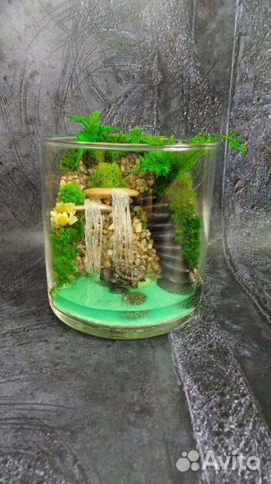 Моссариум с черепахой