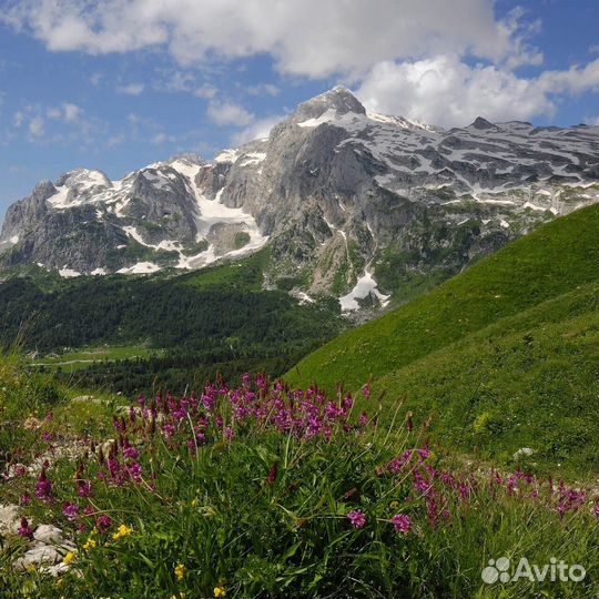 Тур Автобусный в Адыгею