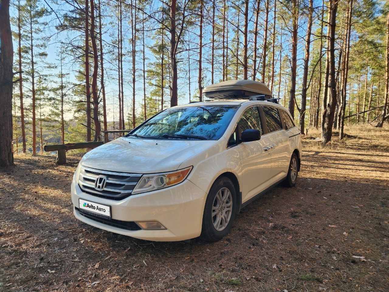 Honda Odyssey (North America)