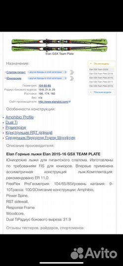 Горные лыжи Elan GSX Amphibio 166cm