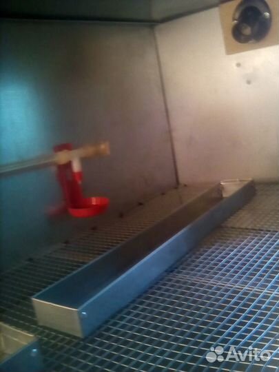 Брудера для цыплят