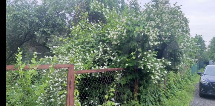 Участок 5 сот. (ИЖС)