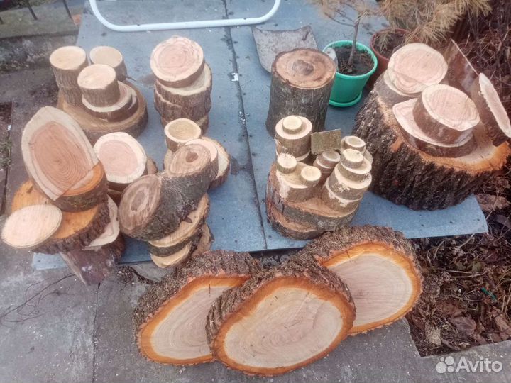 Слэбы спилы свежий спил