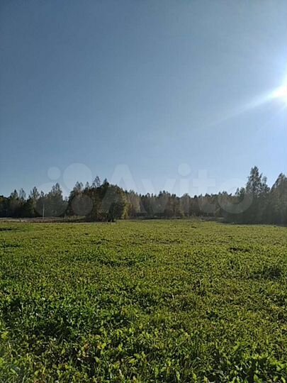 Участок 2 га (СНТ, ДНП)