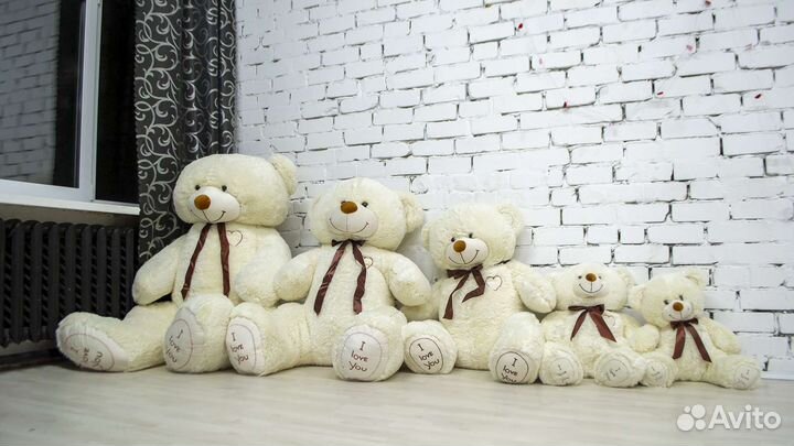 Большие Медведи, Плюшевые Мишки и Панды